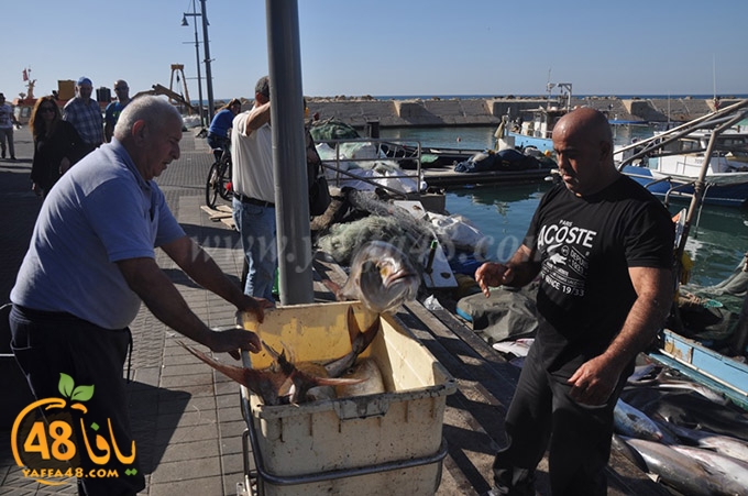 samak antayasa (26).JPG